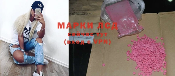 ПСИЛОЦИБИНОВЫЕ ГРИБЫ Костерёво