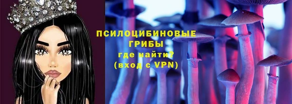 ПСИЛОЦИБИНОВЫЕ ГРИБЫ Костерёво