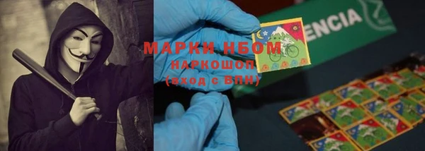 ПСИЛОЦИБИНОВЫЕ ГРИБЫ Костерёво