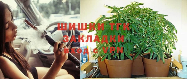ПСИЛОЦИБИНОВЫЕ ГРИБЫ Костерёво