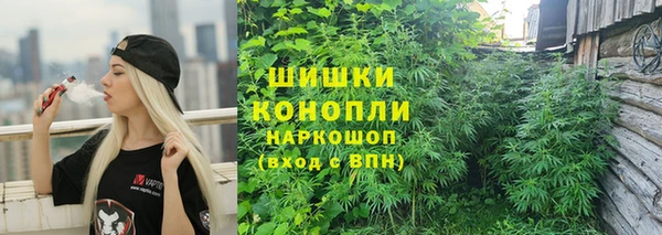 ПСИЛОЦИБИНОВЫЕ ГРИБЫ Костерёво