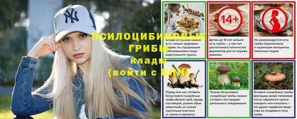 эйфоретик Корсаков