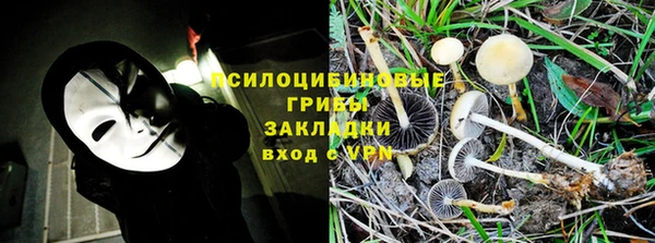 прущая мука Коряжма
