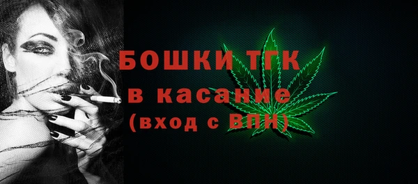 ПСИЛОЦИБИНОВЫЕ ГРИБЫ Костерёво