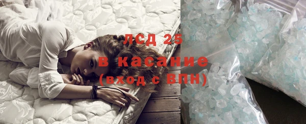 ПСИЛОЦИБИНОВЫЕ ГРИБЫ Костерёво