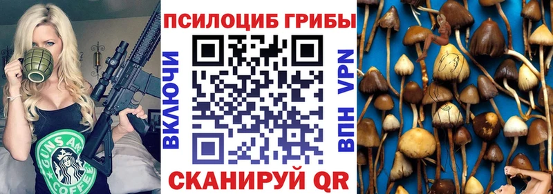 Купить  Белогорск  Галлюциногенные грибы GOLDEN TEACHER 